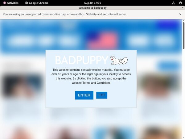 Bad Puppy Paypal Option