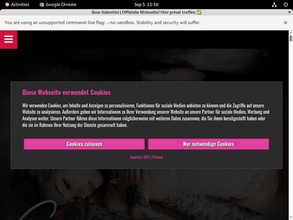 Free Sina Valentini Account Password