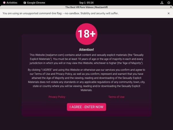 Real Jam VR Discount Id