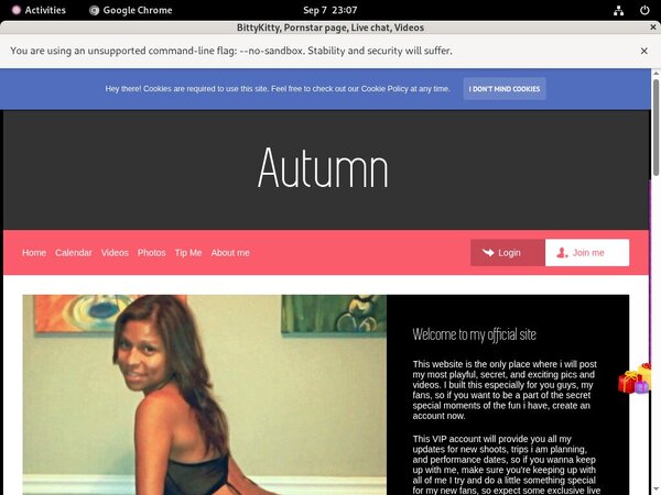 BittyKitty Login Information