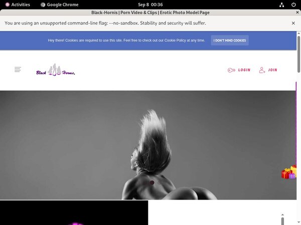 Black-hornis.net Free Login Account