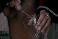 Boys Pissing Paypal Signup s2