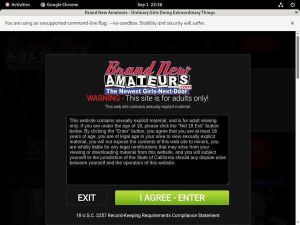 Brand New Amateurs Pay Pal Account