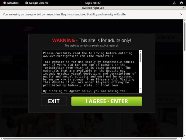 [Image: Evolved-Fights-Lez-Worth-It.jpg]