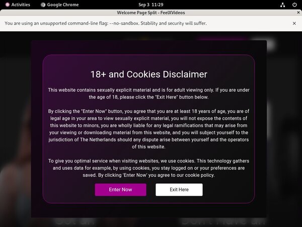 [Image: Feelxvideos-Segpay-Discount.jpg]