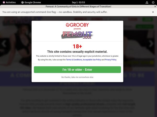Femout.xxx Free Ones