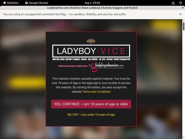 Free Ladyboyvice Account