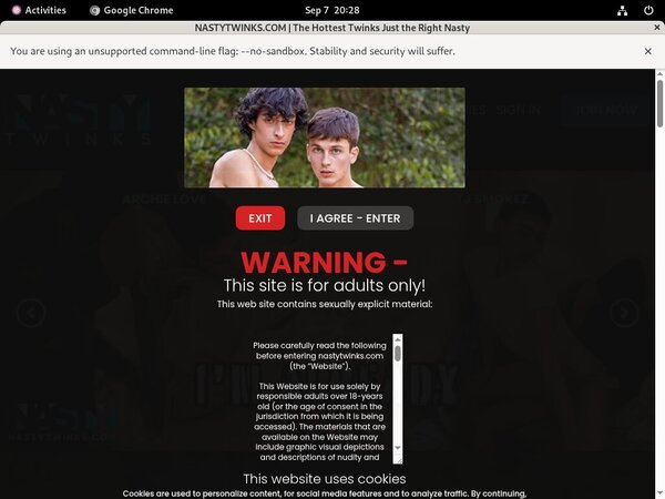 How To Get Nastytwinks.com Free How To Get Nastytwinks.com Free