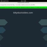 Kitty’s Kuriosities Account Discount