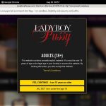 Ladyboy Pussy Discount Porno