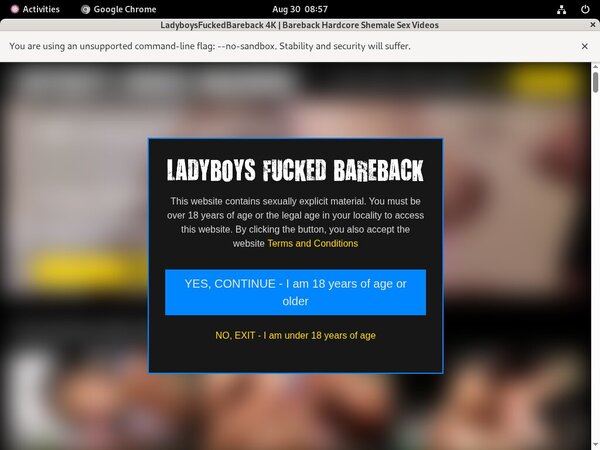 Ladyboysfuckedbareback Acc Free