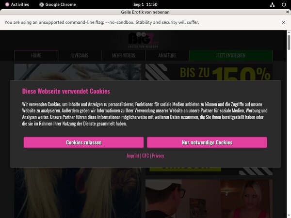 LindaKiss.com Vxsbill Page