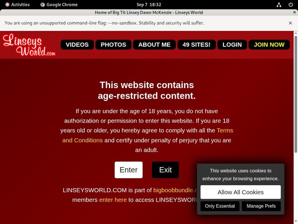 Linseysworld Review Site