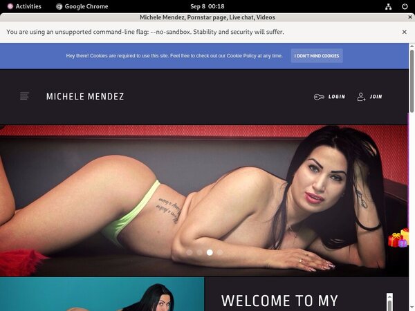 Michelemendez.modelcentro.com Gratis Password