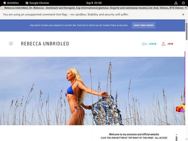 Rebecca  Unbridled Web