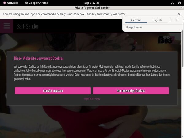 Sari-sander.com Hack