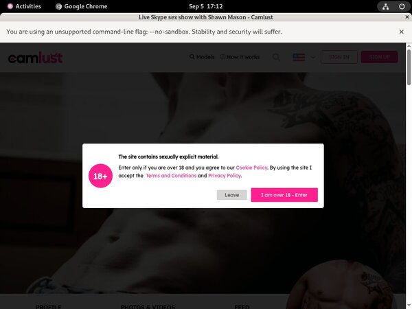 Shawn Mason Stolen Password