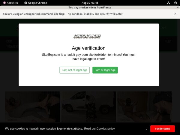 Sketboy Premium Accounts