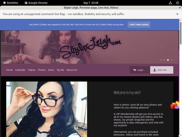Skylarleigh Rocketgate