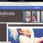 Try BaddBirdie Free Trial
