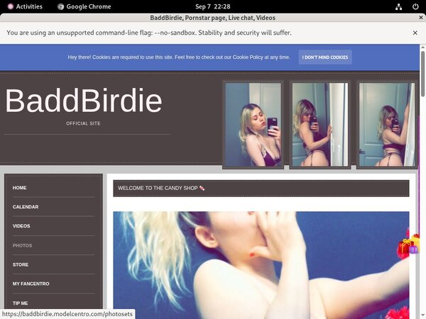 Try BaddBirdie Free Trial