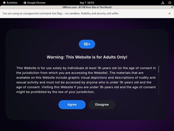 VR Porn Instant Access