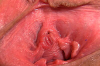 Videos Gape My Pussy Free s2