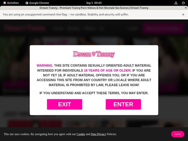 Xxx Dreamtranny.com