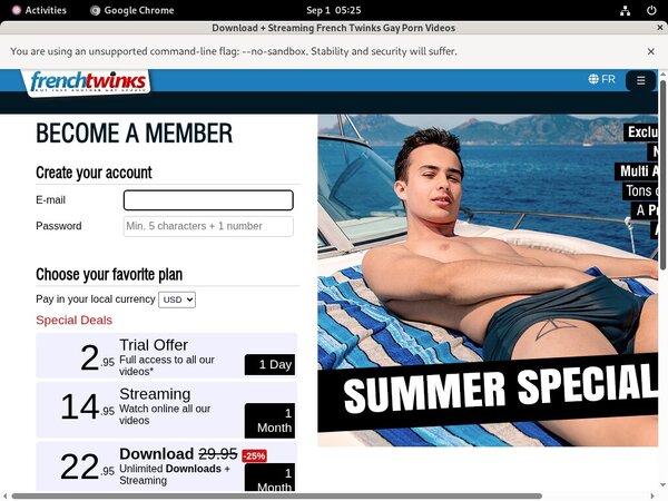 French Twinks Site Rip