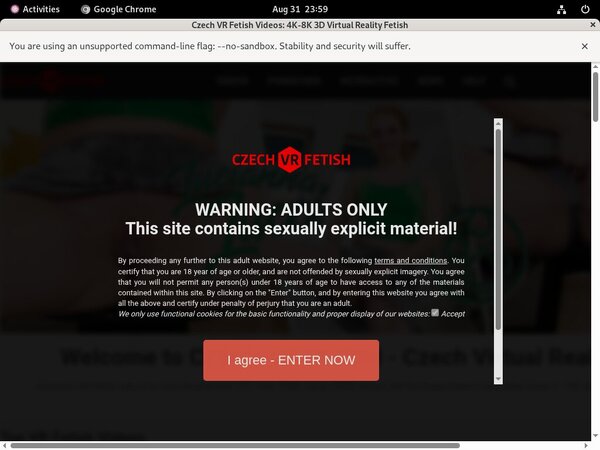 Czech VR Fetish Price