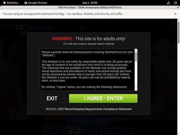 Povpornstars Hd Free