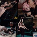 Subspace Land Free Pw